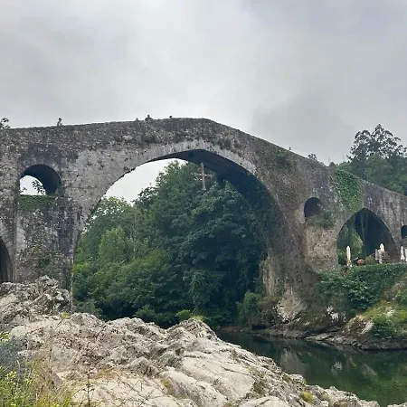 En Cangas De Vut7876as *